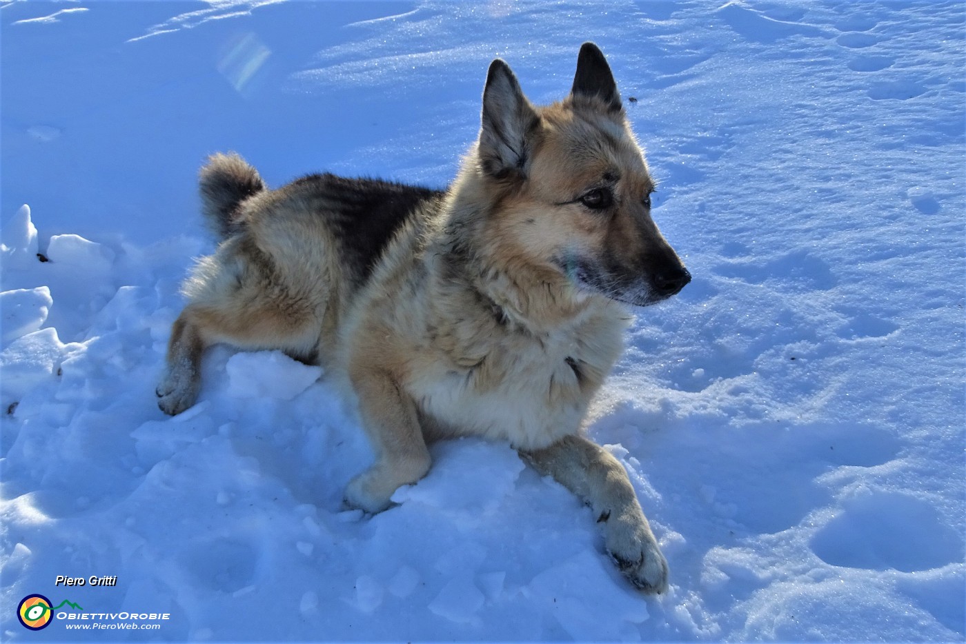 15 Bello sostare al fresco della neve.JPG